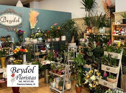 BEYDOL FLORISTAS