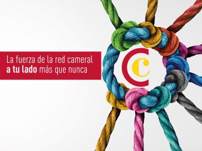 RED CAMERAL vertical