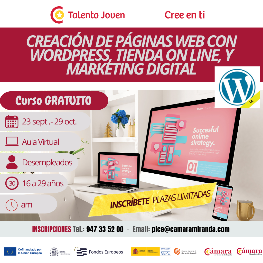 CURSO: CREACIÓN DE PÁGINAS WEB CON WORDPRESS, TIENDA ON LINE, Y MARKETING DIGITAL (60h)