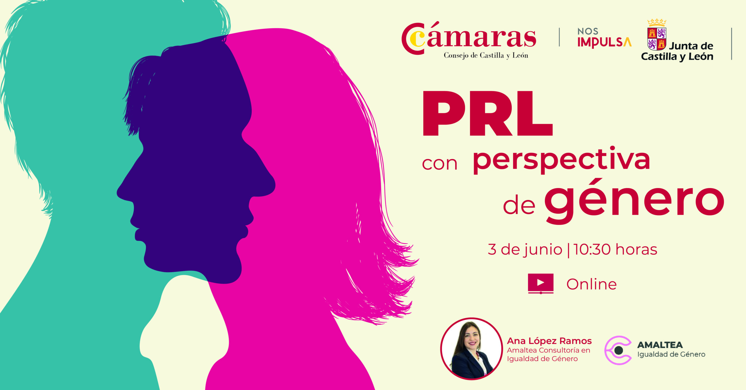 WEBINAR PRL CON PERSPECTIVA DE GÉNERO