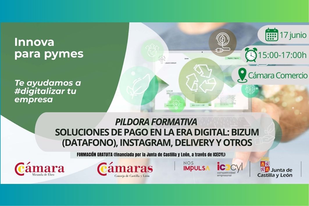 PILDORA SOLUCIONES DE PAGO EN LA ERA DIGITAL: BIZUM (DATAFONO), INSTAGRAM, DELIVERY Y OTROS